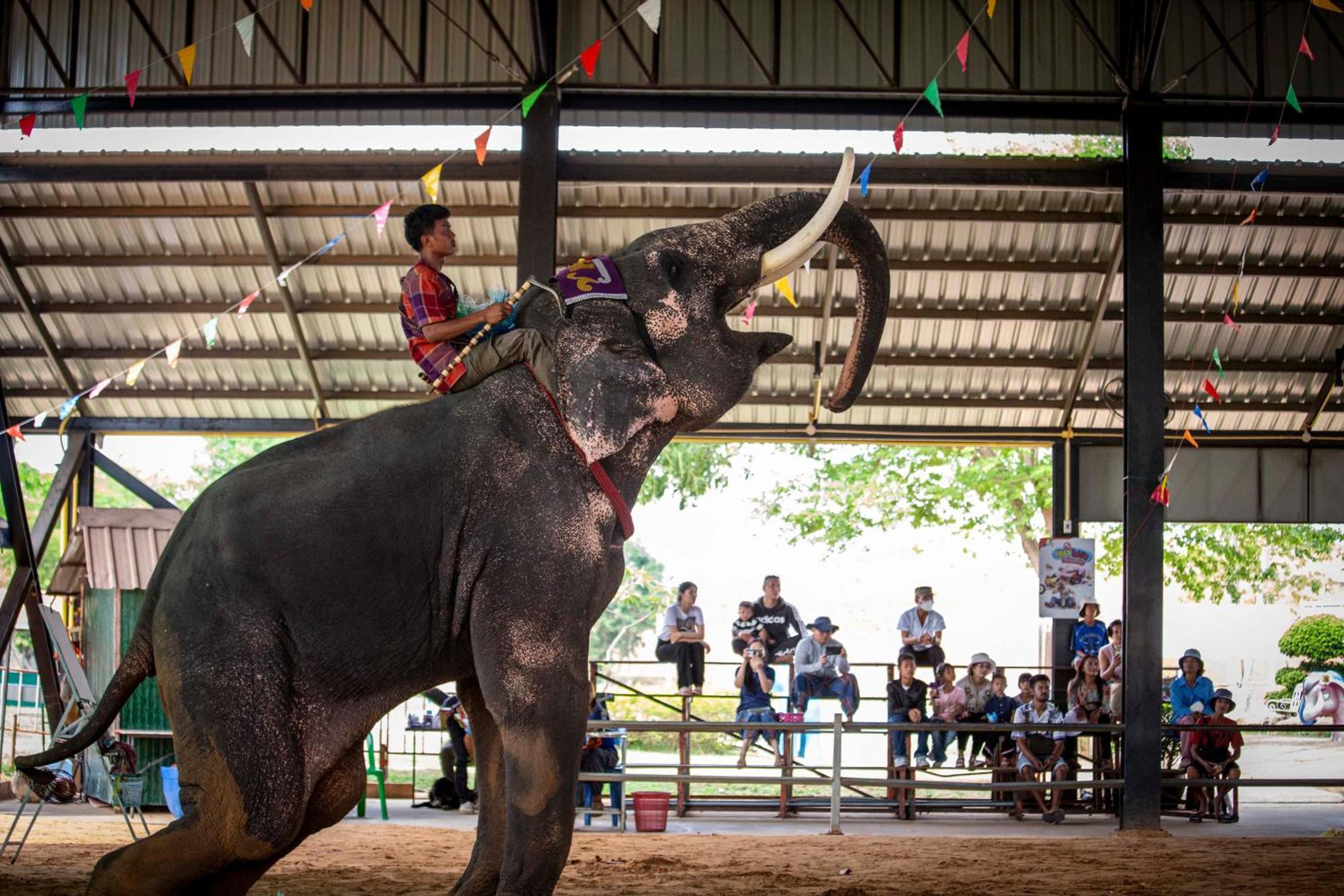 Thong Tarin 3* Surin